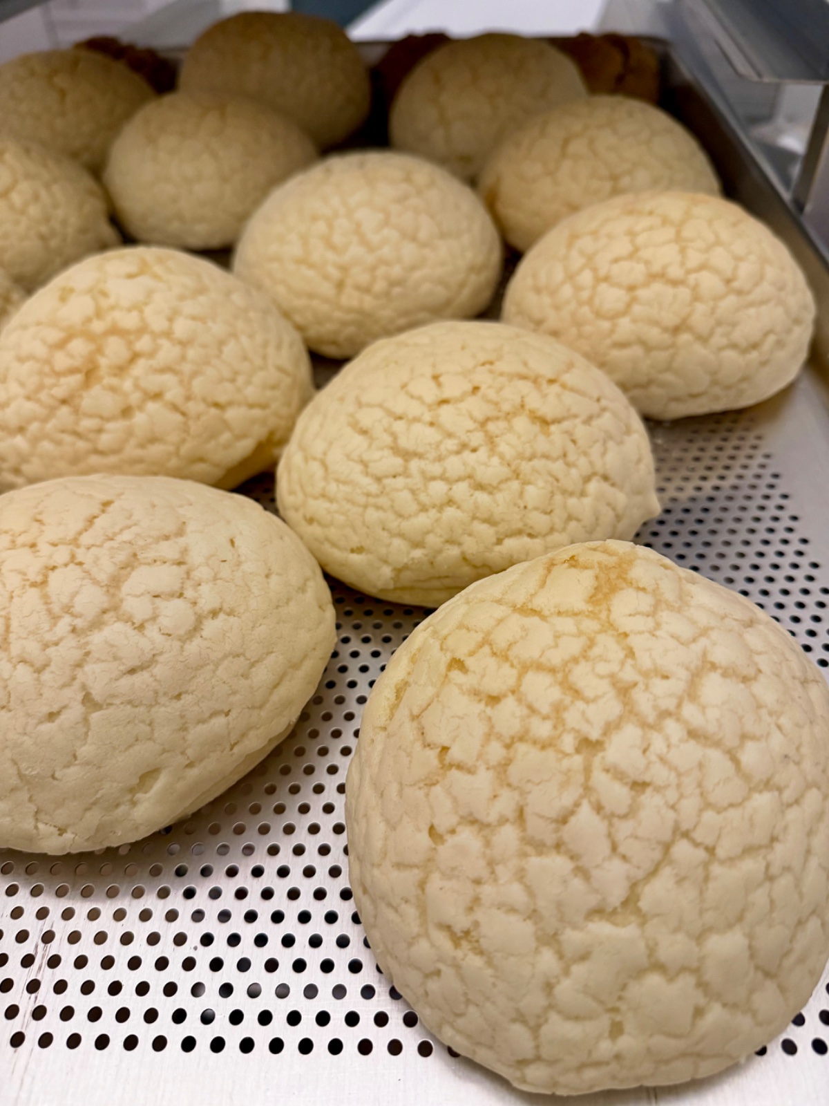 Conchas de Masa Madre